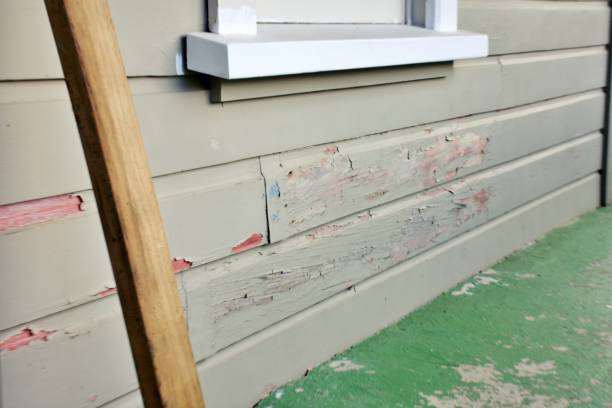 Best Siding Repair  in USA